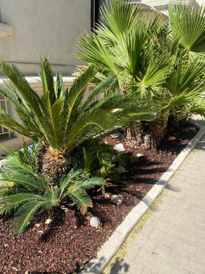 Casa Cacao Pres Plage Et Velodrome Марсель Экстерьер фото